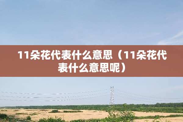11朵花代表什么意思（11朵花代表什么意思呢）