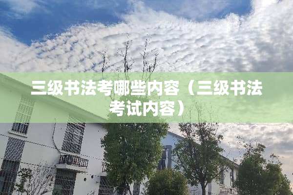 **书法考哪些内容（**书法考试内容）