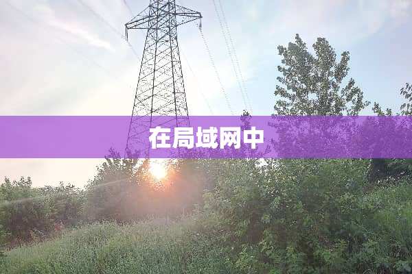 在局域网中