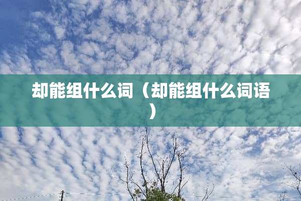却能组什么词（却能组什么词语）