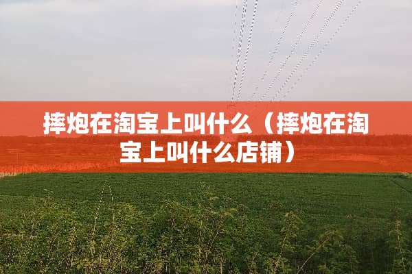 摔*在淘宝上叫什么（摔*在淘宝上叫什么店铺）