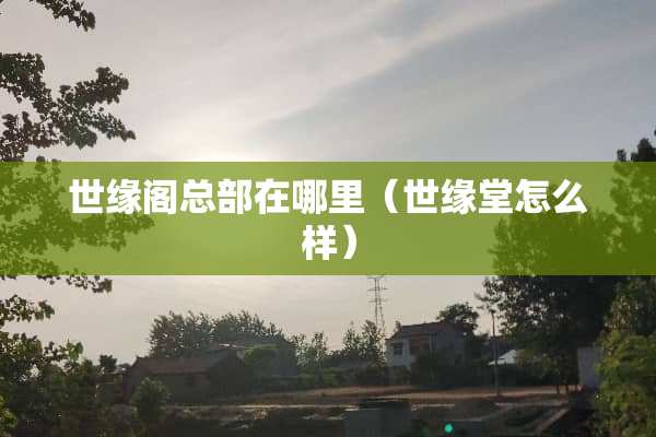 世缘阁总部在哪里（世缘堂怎么样）