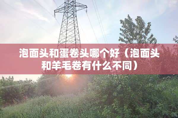 泡面头和蛋卷头哪个好（泡面头和羊毛卷有什么不同）