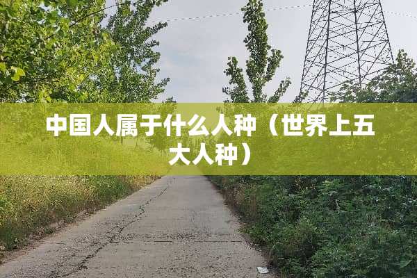中国人属于什么人种（世界上五大人种）