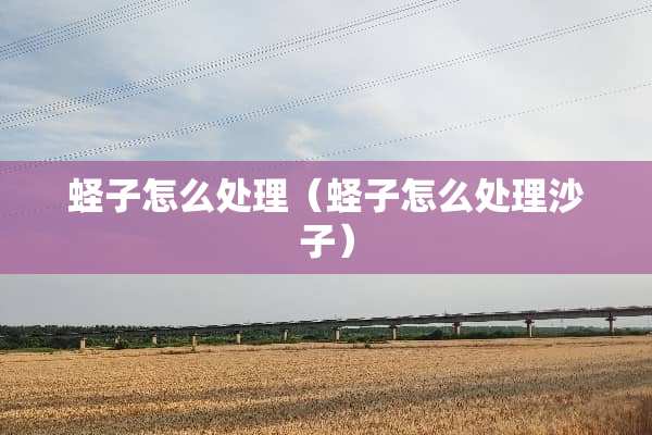 蛏子怎么处理（蛏子怎么处理沙子）