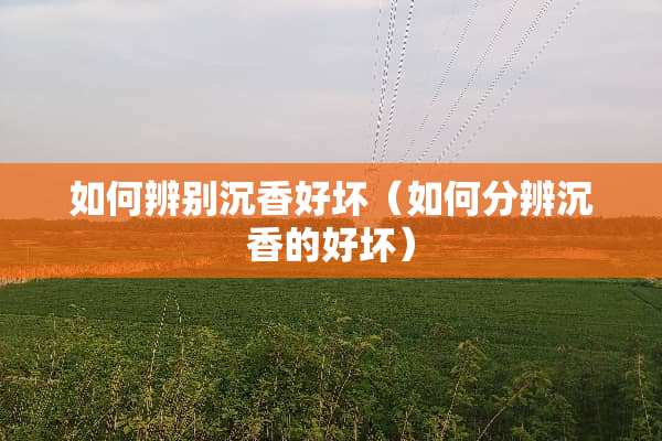 如何辨别沉香好坏（如何分辨沉香的好坏）
