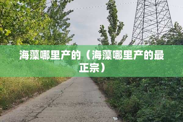 海藻哪里产的（海藻哪里产的最正宗）