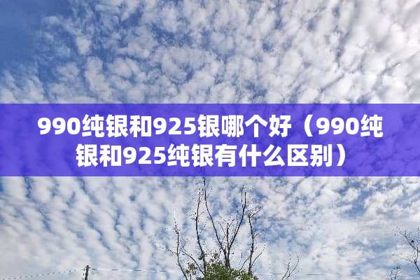 990纯银和925银哪个好（990纯银和925纯银有什么区别）