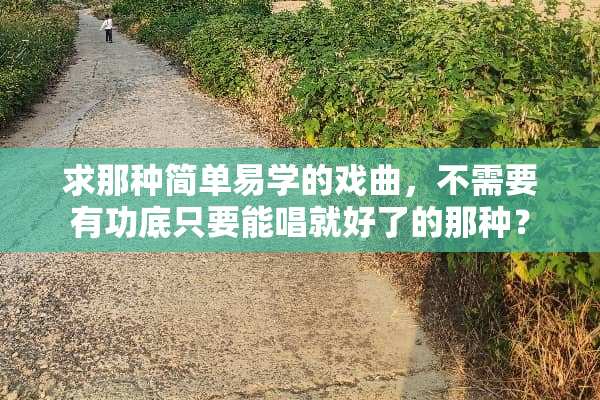 求那种简单易学的戏曲，不需要有功底只要能唱就好了的那种？