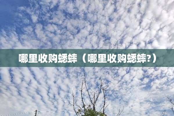 哪里收购蟋蟀（哪里收购蟋蟀?）
