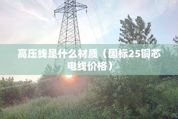 高压线是什么材质（国标25铜芯电线价格）
