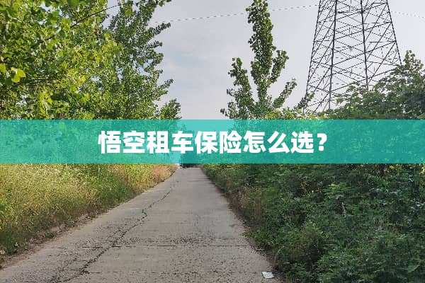 悟空租车保险怎么选？