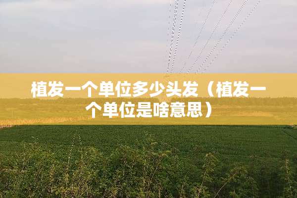 植发一个单位多少头发（植发一个单位是啥意思）