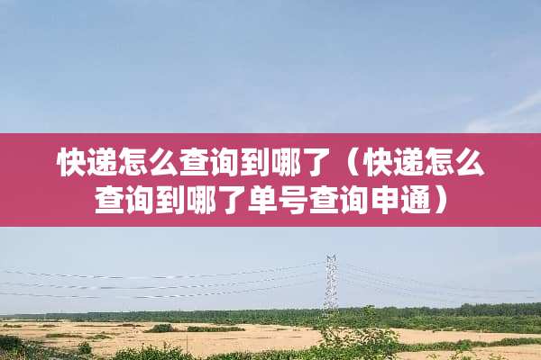 快递怎么查询到哪了（快递怎么查询到哪了单号查询申通）