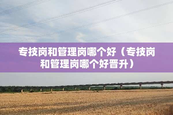 专技岗和管理岗哪个好（专技岗和管理岗哪个好晋升）