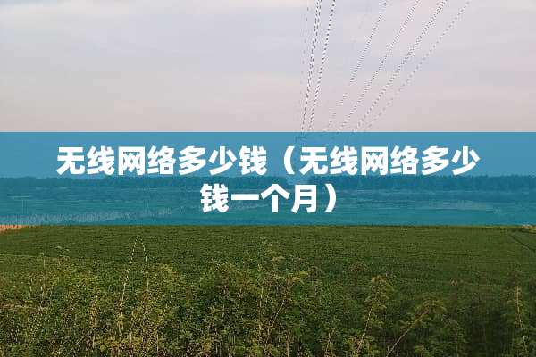 无线网络多少钱（无线网络多少钱一个月）