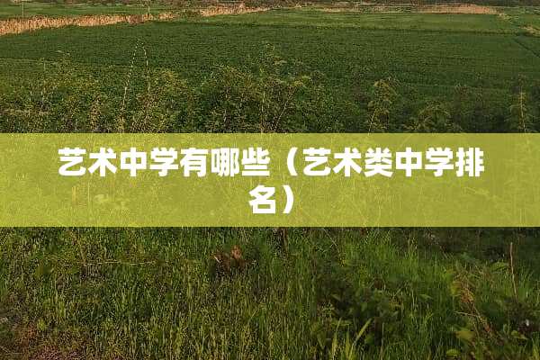 艺术中学有哪些（艺术类中学排名）