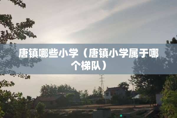 唐镇哪些小学（唐镇小学属于哪个梯队）