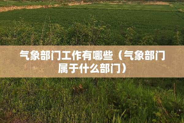 气象部门工作有哪些（气象部门属于什么部门）