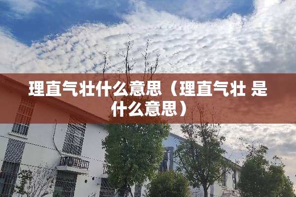 理直气壮什么意思（理直气壮 是什么意思）