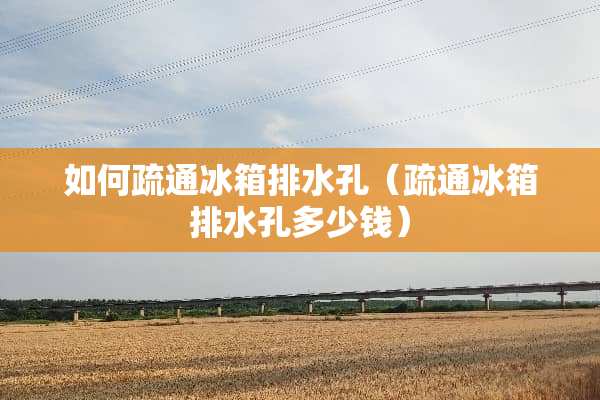 如何疏通冰箱排水孔（疏通冰箱排水孔多少钱）