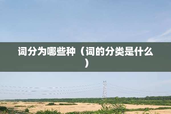 词分为哪些种（词的分类是什么）