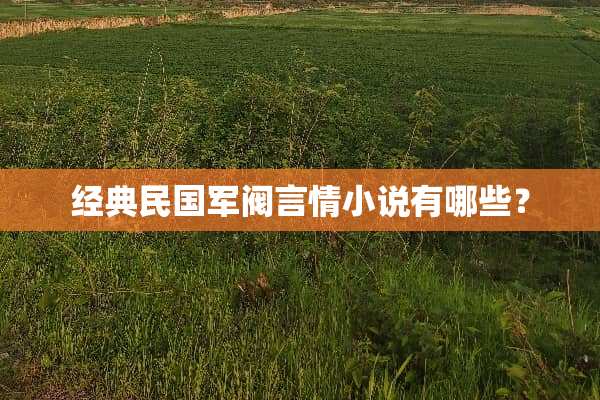 经典民**阀言情小说有哪些？