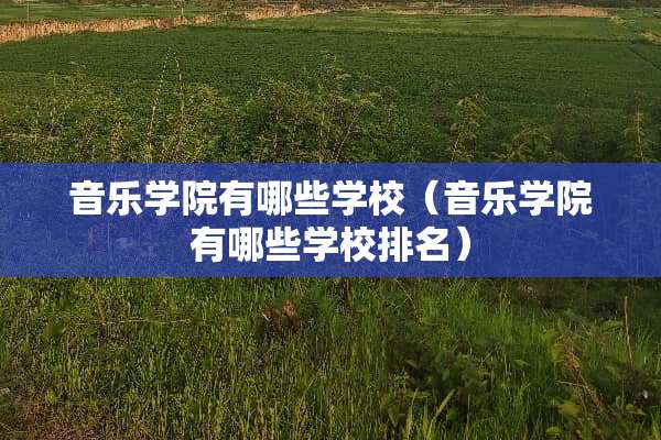 音乐学院有哪些学校（音乐学院有哪些学校排名）