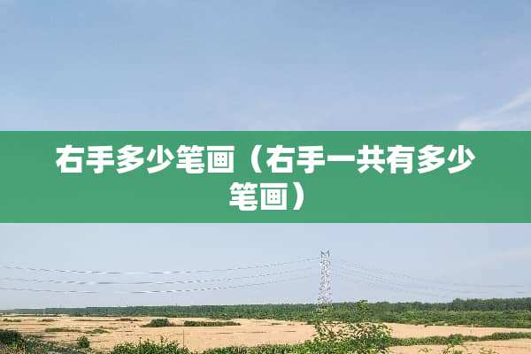 右手多少笔画（右手一共有多少笔画）