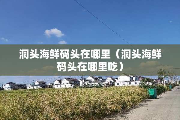 洞头海鲜码头在哪里（洞头海鲜码头在哪里吃）
