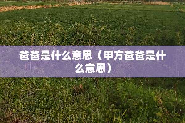 爸爸是什么意思（甲方爸爸是什么意思）