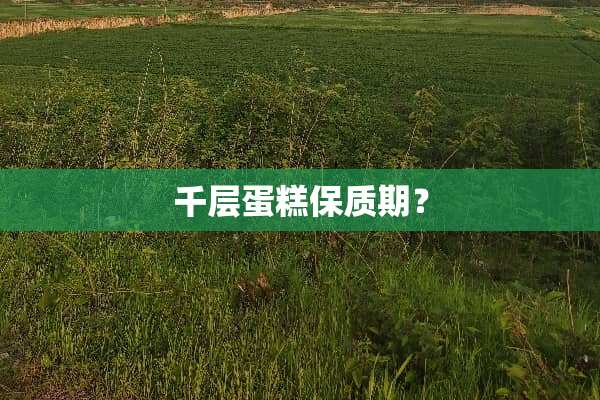 千层蛋糕保质期？
