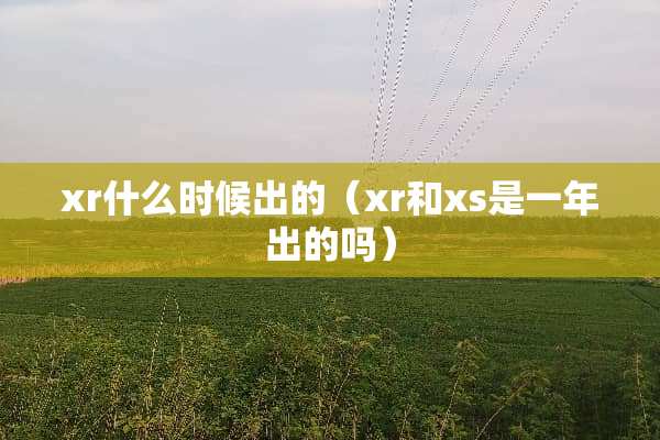 xr什么时候出的（xr和xs是一年出的吗）