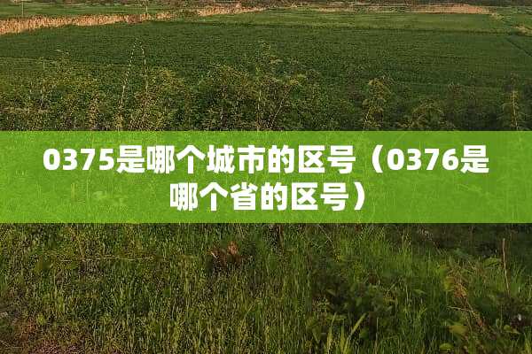 0375是哪个城市的区号（0376是哪个省的区号）