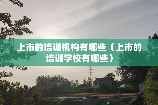 上市的培训机构有哪些（上市的培训学校有哪些）