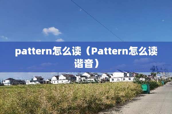pattern怎么读（Pattern怎么读谐音）