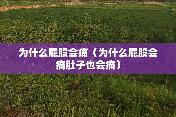 为什么**会痛（为什么**会痛肚子也会痛）