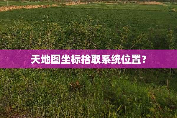 天地图坐标拾取系统位置？