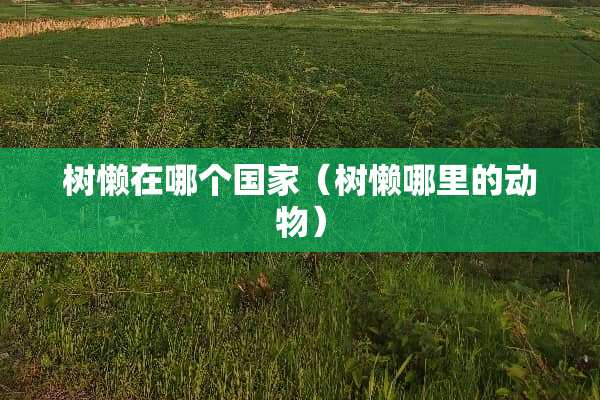 树懒在哪个国家（树懒哪里的动物）