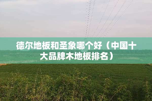德尔地板和圣象哪个好（中国十大品牌木地板排名）