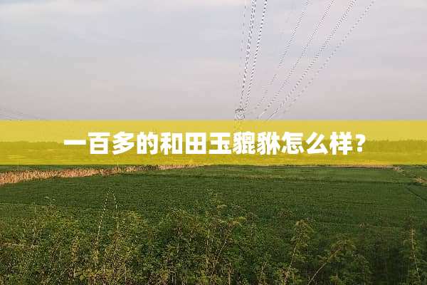 一百多的和田玉貔貅怎么样？