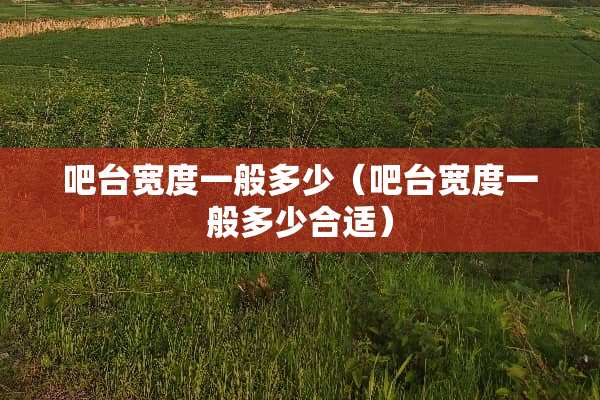 吧台宽度一般多少（吧台宽度一般多少合适）