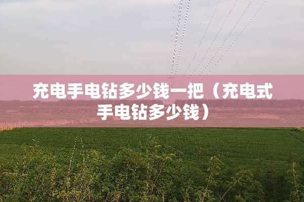 充电手电钻多少钱一把（充电式手电钻多少钱）