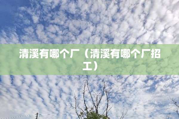 清溪有哪个厂（清溪有哪个厂招工）