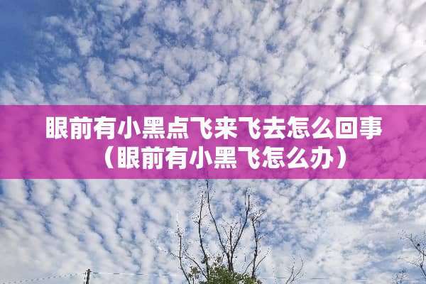 眼前有小黑点飞来飞去怎么回事（眼前有小黑飞怎么办）