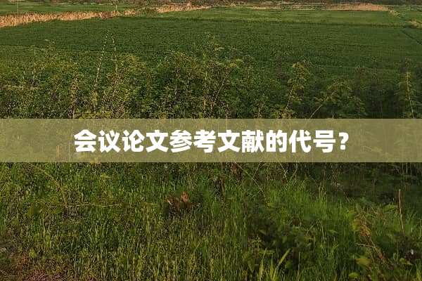 会议论文参考文献的代号？