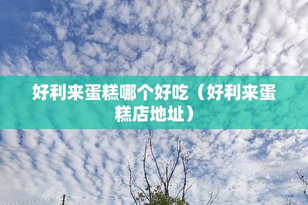 好利来蛋糕哪个好吃（好利来蛋糕店地址）
