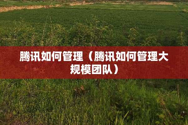 腾讯如何管理（腾讯如何管理大规模团队）