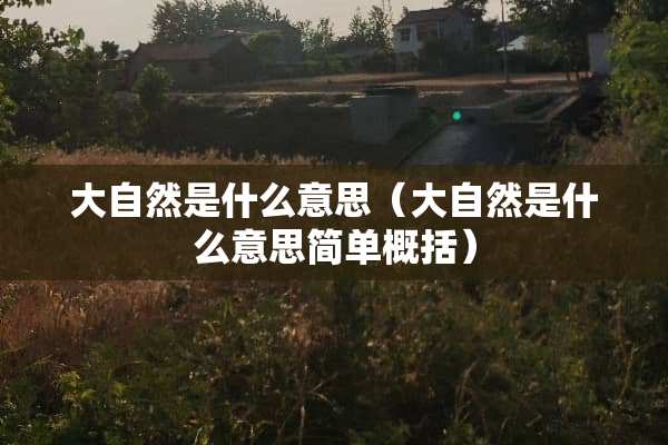 大自然是什么意思（大自然是什么意思简单概括）