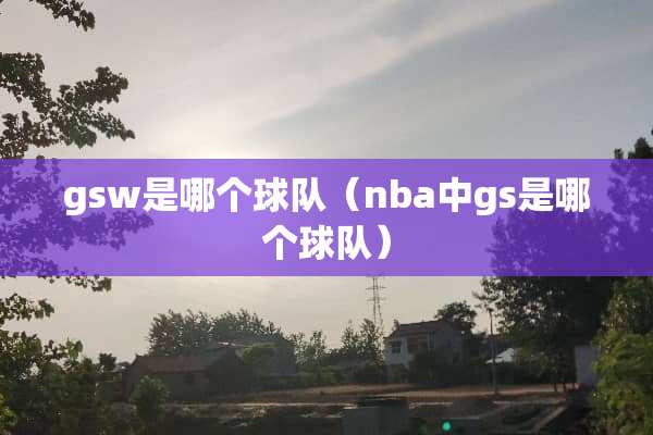 gsw是哪个球队（nba中gs是哪个球队）